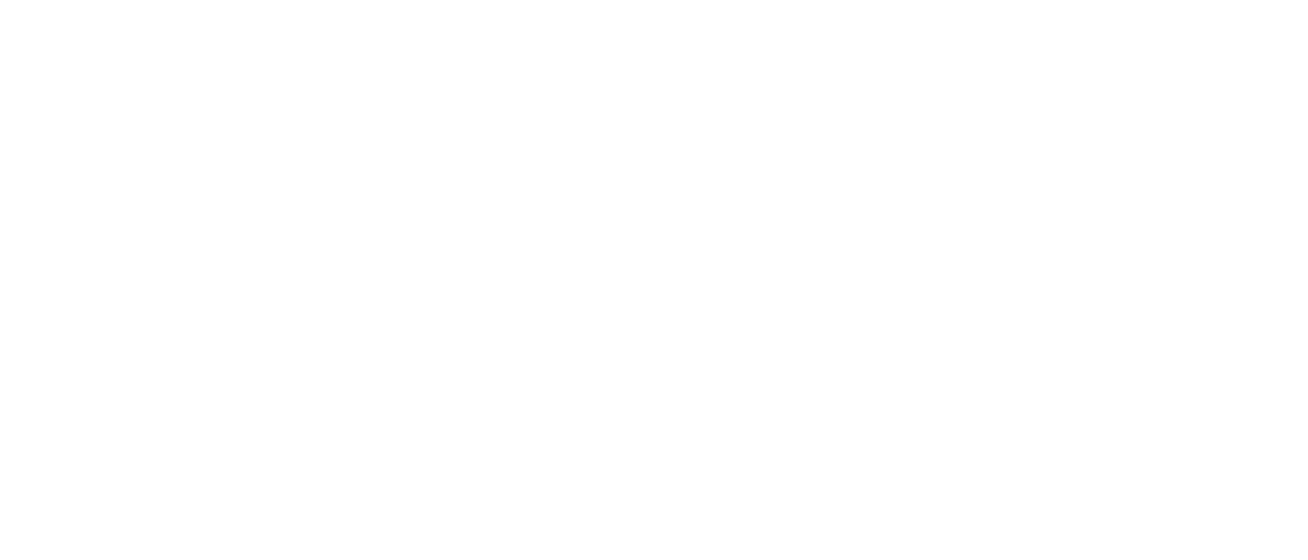 The Fun Factory Logo - White
